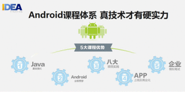 石家莊軟件開發(fā)速成班 聚焦教育軟件開發(fā)的高效路徑